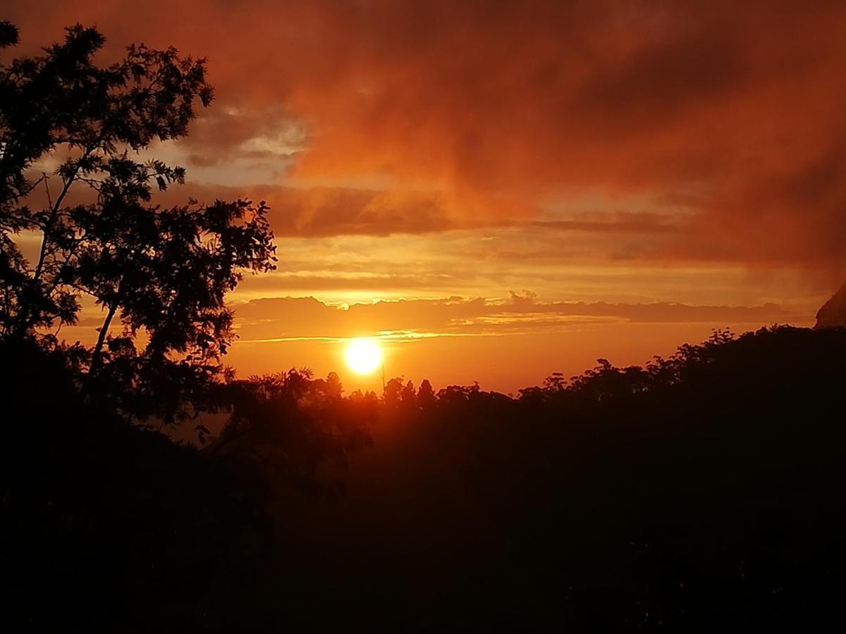 Solace Ella Kültér fotó